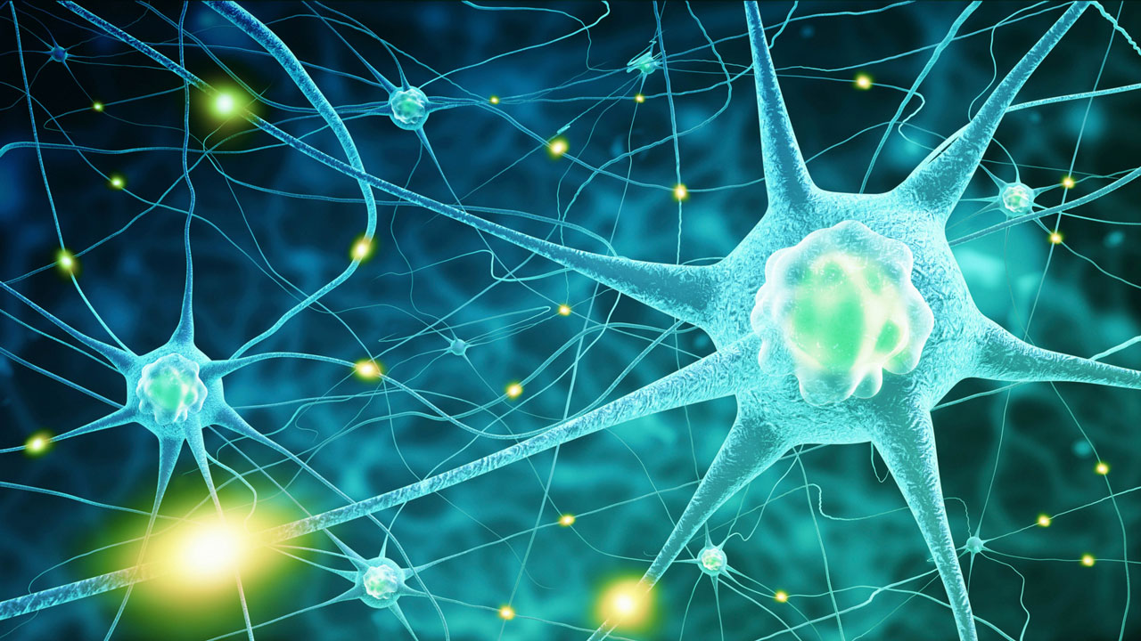 nm-a-new-target-for-antidepressants-feature