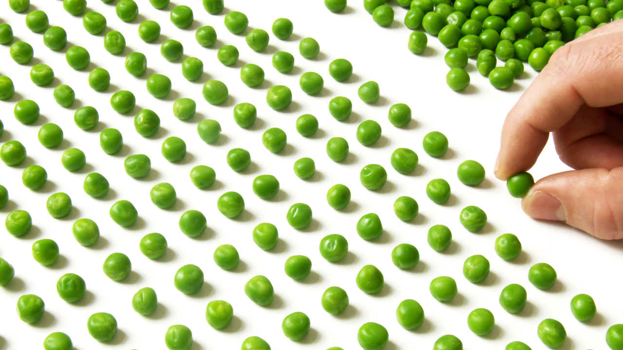 nm-genetic-mutation-linked-to-ocd-like-behavior-feature