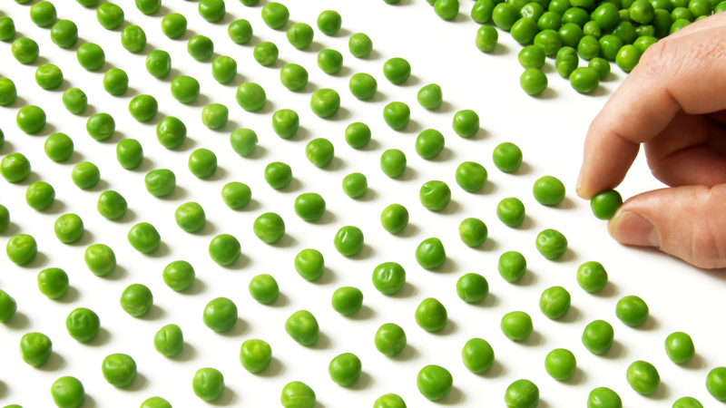 nm-genetic-mutation-linked-to-ocd-like-behavior-preview