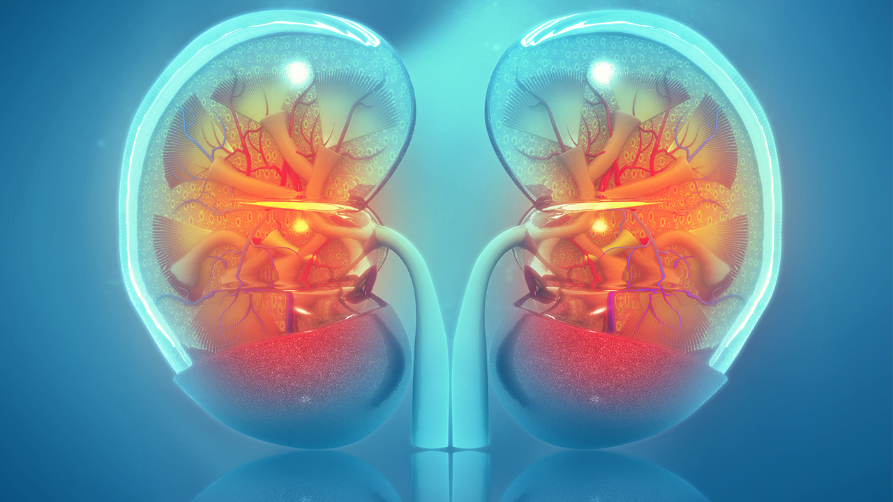 nm-hispanic-transplant-program_feature