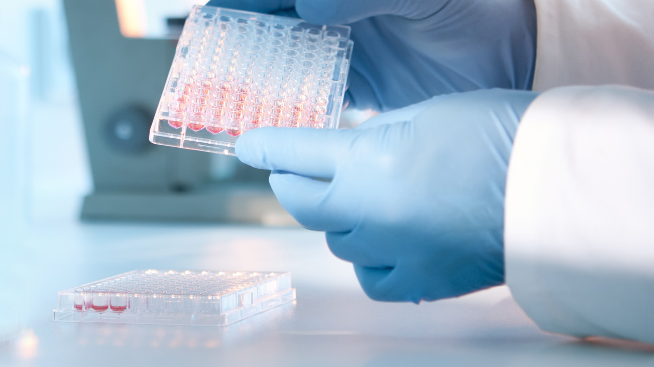 A lab technician injecting liquid into a plate.