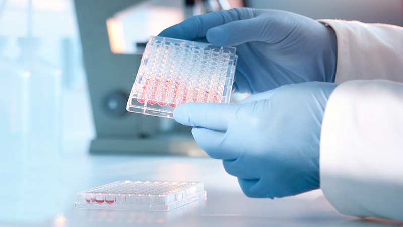 A lab technician injecting liquid into a plate.