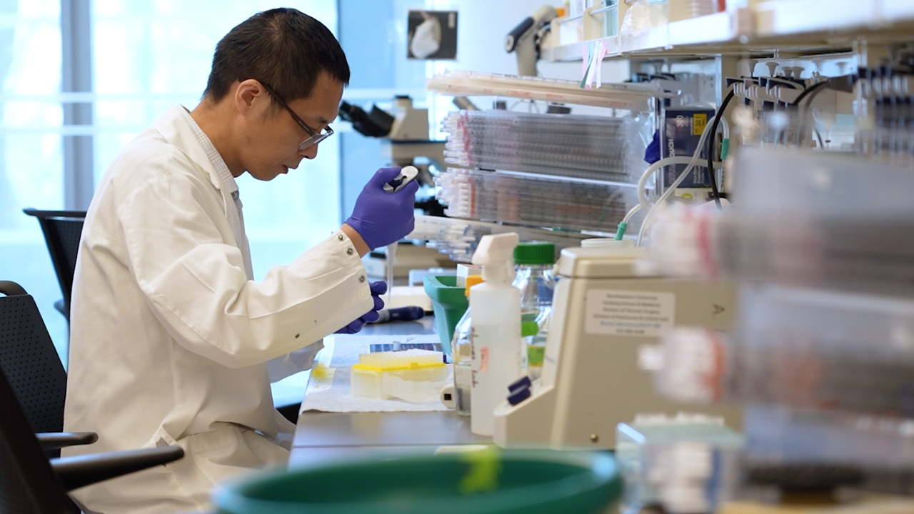 Scientist wearing a white coat working in a laboratory. 