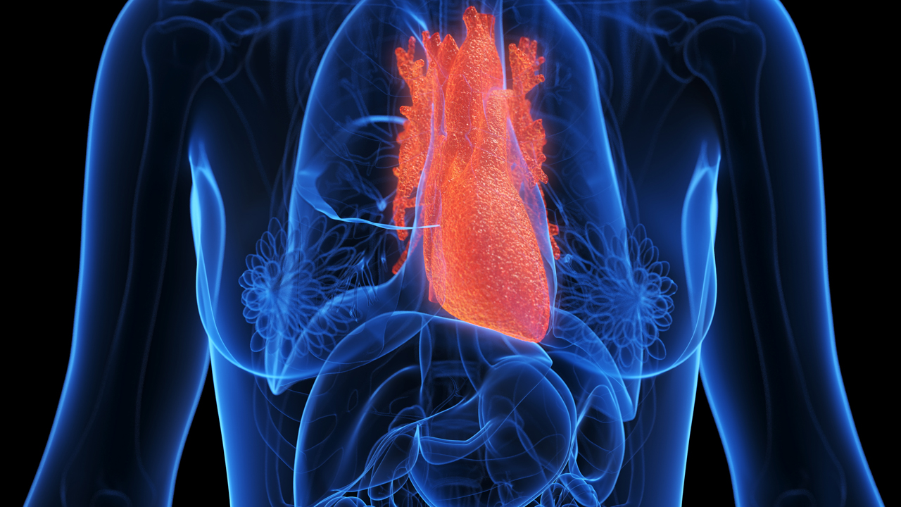 Illustration of an inflamed heart