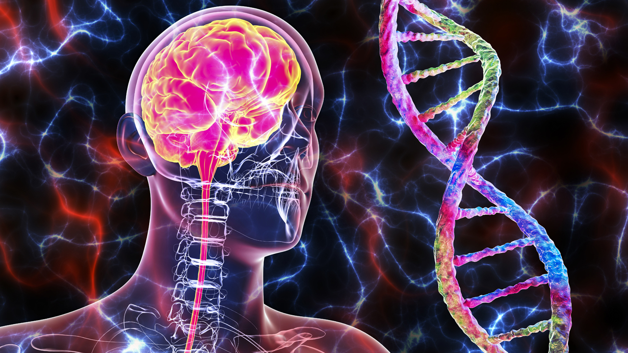 Illustration of human brain and DNA strand