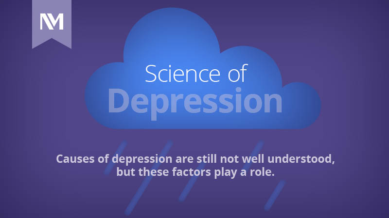 Science of Depression (Infographic) | Northwestern Medicine