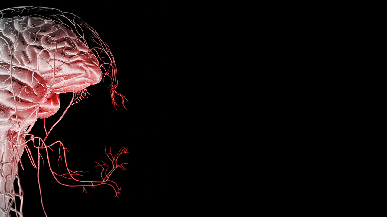 nm-what-is-TN_feature