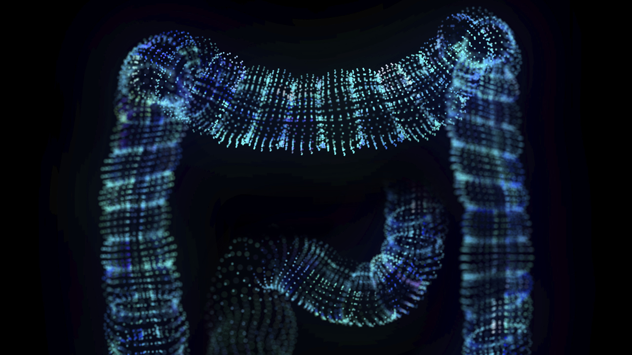 AI rendering of a colon.
