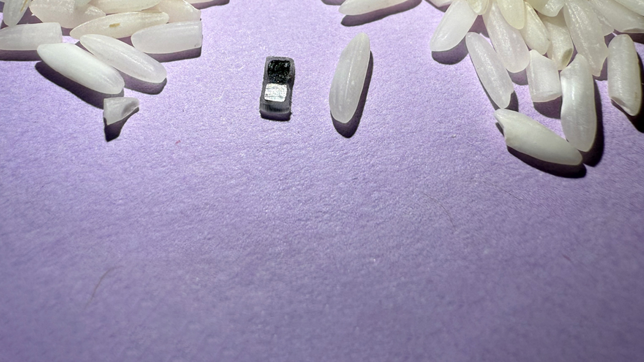 World’s smallest pacemaker shown next to grains of rice.