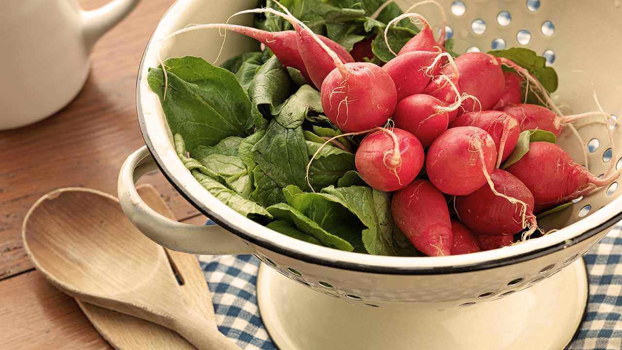 nm-eating-in-spring-feature