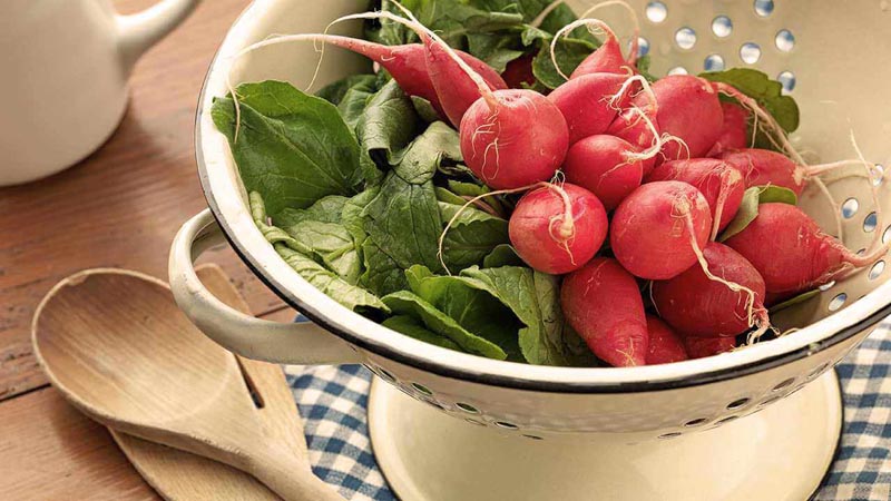 nm-eating-in-spring-tnail