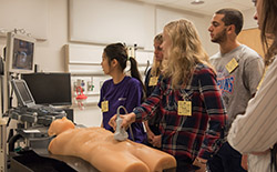 Students performing an ultrasound as part of the Discovery Program.