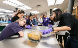 A group of students in the Discovery Program looking at a brain in a clear box.