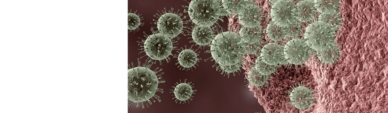Computer-generated image of a virus.