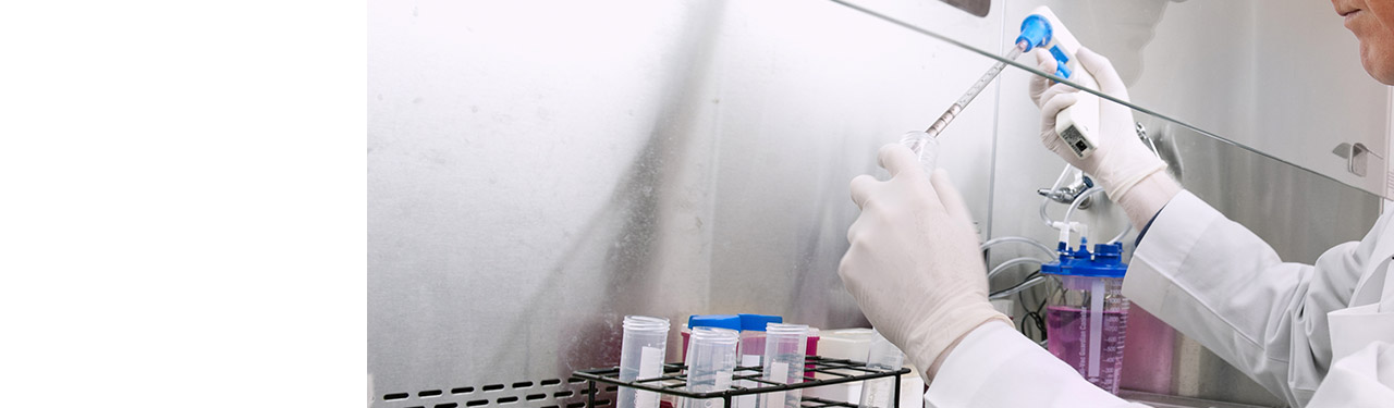 Scientist preforming immunotherapy tests