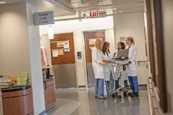 Northwestern Medicine doctors consulting in a hallway