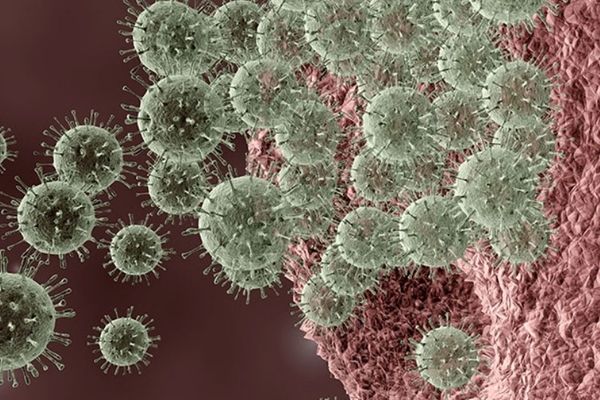 computer-generated image of a virus