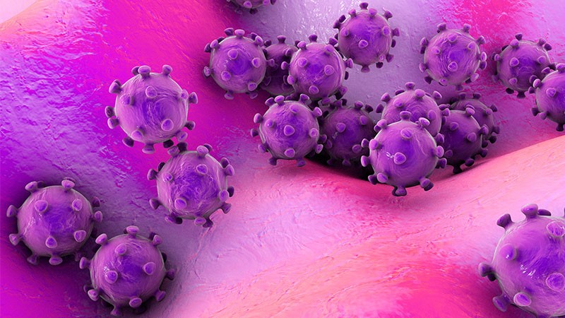 Purple image of germs