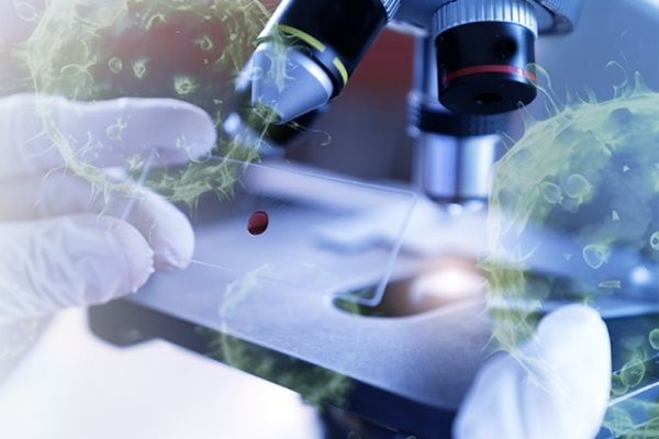 Picture of a microscope