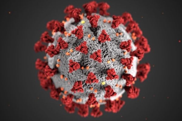 CDC's computer-generated image of coronavirus. 