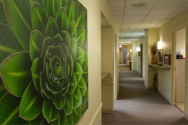 Picture of a flower painting at the Osher Center for Integrative Health 