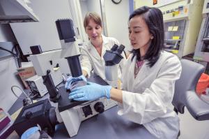 Feinberg School of Medicine researchers working in a lab