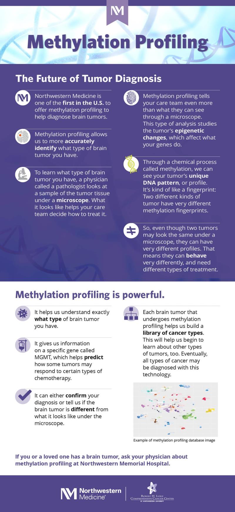 Methylation Profiling Infographic