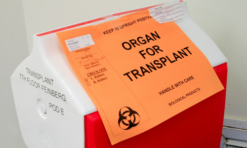 A cooler for organs to transplant.