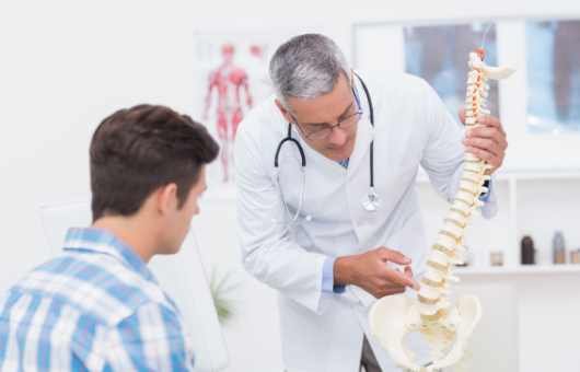 A doctor explaining a spine to a patient.