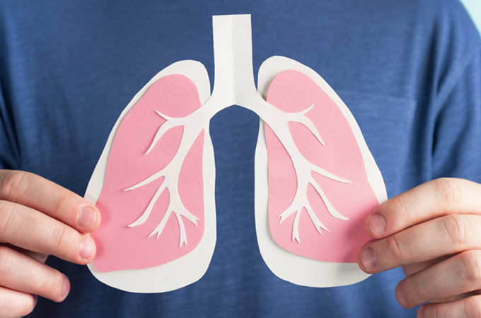 A person holding a diagram of lungs in front of their chest