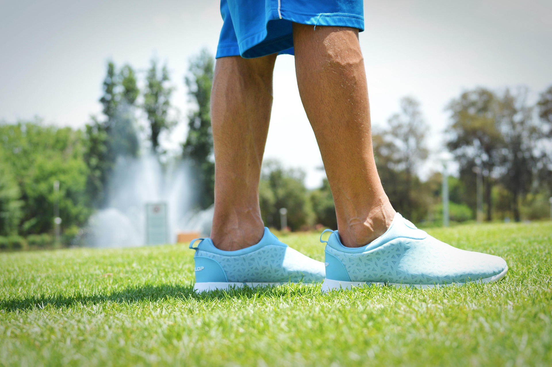 northwestern-medicine-palos-vein