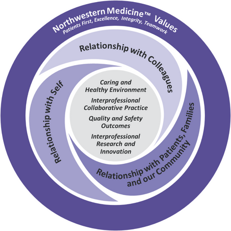 Interprofessional Relationship-Based Care Model