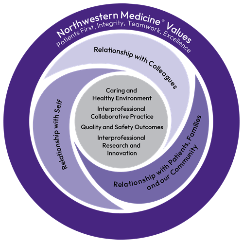 Northwestern Medicine Professional Practice Model