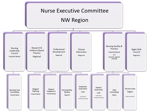 Northwest region nurse executive committee