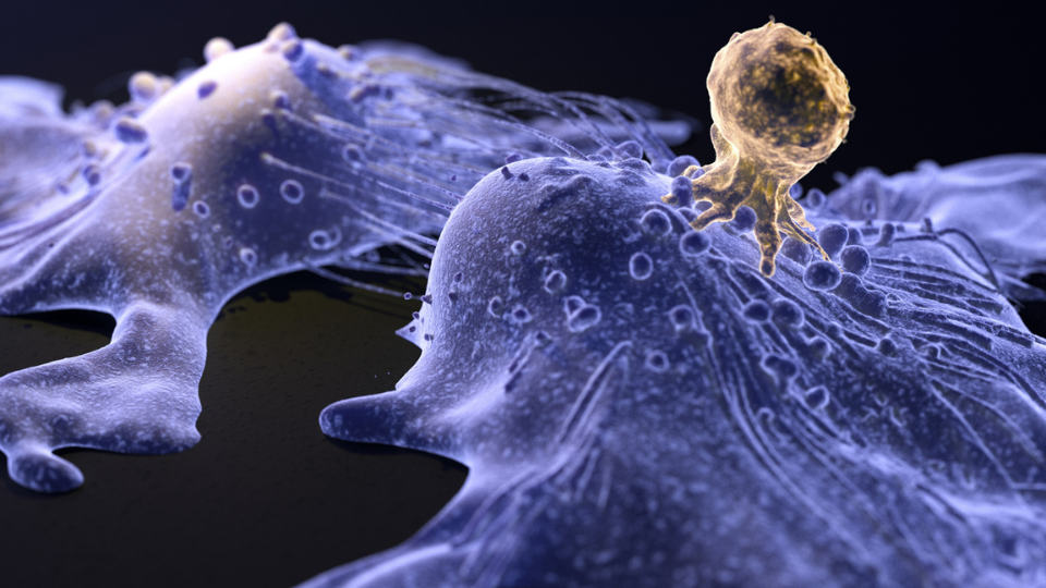 Microscopic illustration showing a cancer cell interacting with surrounding cells.