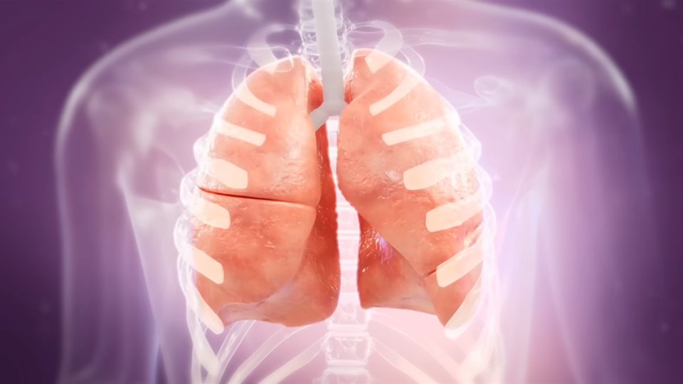 An illustration of a person's rib cage and lungs.