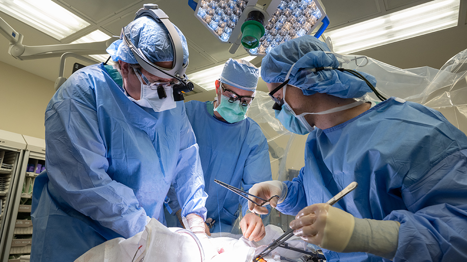 northwestern-medicine-advanced-treatments-oct-25