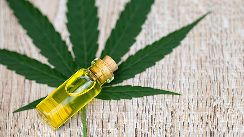 What Research Says About CBD Oil | Northwestern Medicine