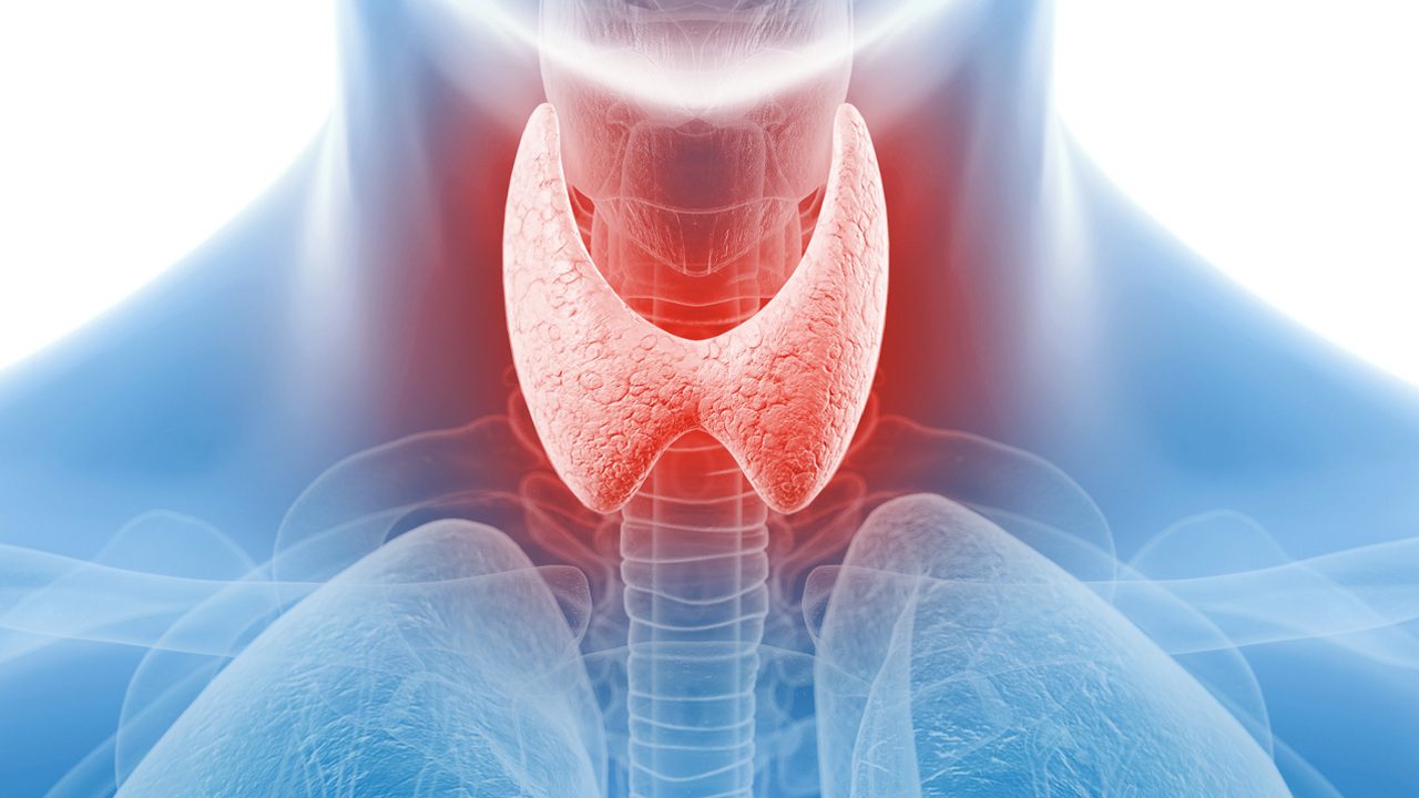 Retatrutide Injection Thyroid influence | Shaanxi BLOOM Tech Co., Ltd Retatrutide Injection Thyroid influence | Shaanxi BLOOM Tech Co., Ltd