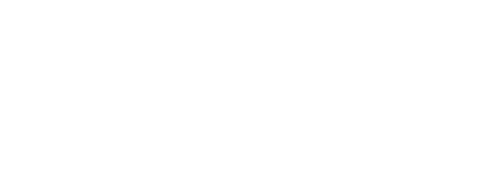 20 Years of Driving Innovation and Clinical Excellence Bluhm Cardiovascular Institute 20th Anniversary Report