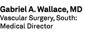 Gabriel A. Wallace, MD Vascular Surgery, South: Medical Director