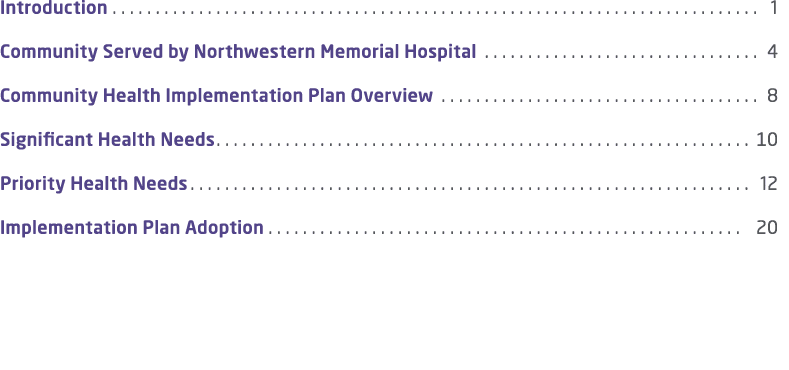 Introduction 1 Community Served by Northwestern Memorial Hospital 4 Community Health Implementation Plan Overview 8 S...