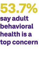 53.7% say adult behavioral health is a top concern 