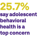25.7% say adolescent behavioral health is a top concern