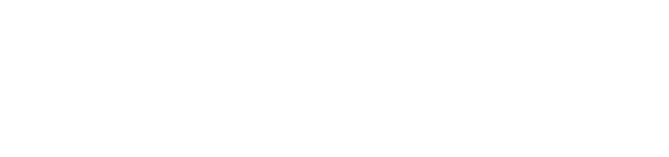 Community Health Implementation Plan Adoption