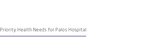 Priority Health Needs for Palos Hospital