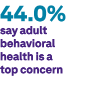 44.0% say adult behavioral health is a top concern 