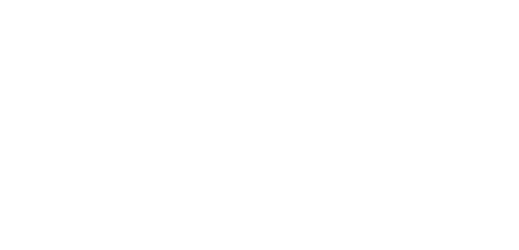 2025 Community Health Needs Assessment Northwestern Memorial Hospital 