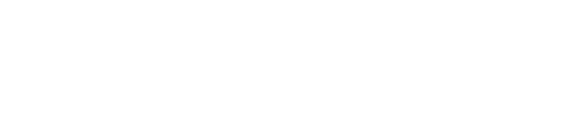 Development of a Plan to Address the Priority Health Need 