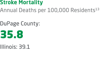 Stroke Mortality Annual Deaths per 100,000 Residents13 DuPage County: 35.8 Illinois: 39.1 